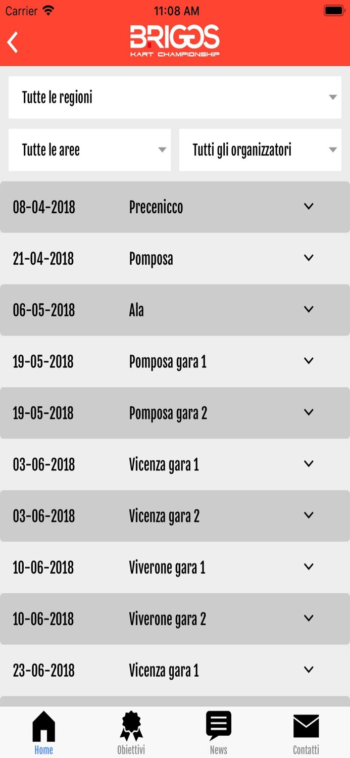 Briggs Kart Championship