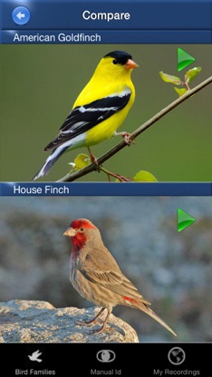 Bird Song Id USA songs & calls screenshot 3