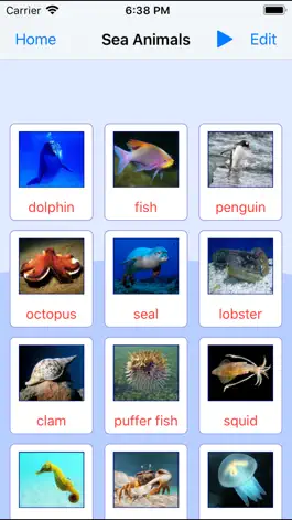 Game screenshot Sea Animals. Learning Cards apk