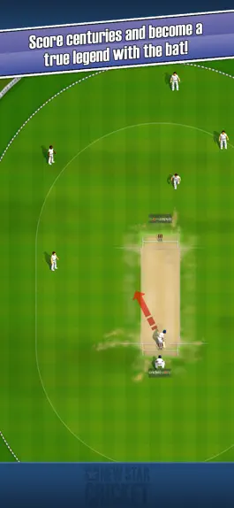 Game screenshot New Star Cricket apk