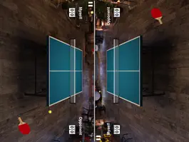 Game screenshot Virtual Table Tennis HD apk