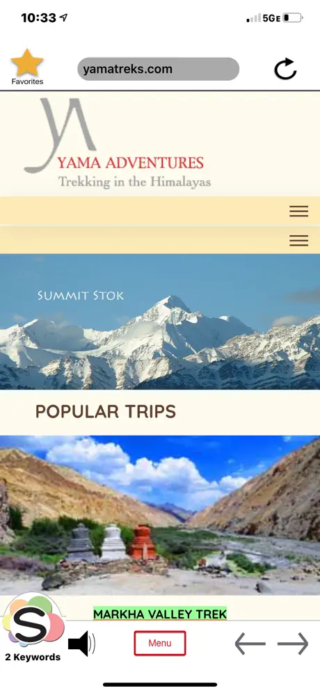 Squint Browser