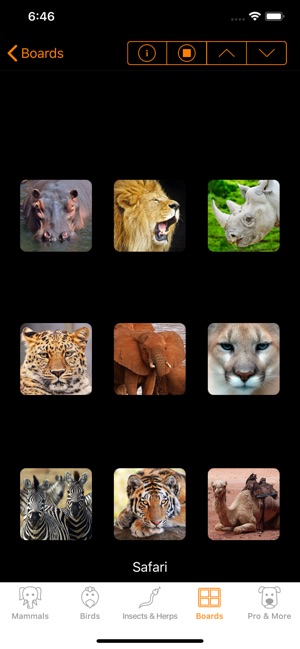 13+ Animal mating calls soundboard info