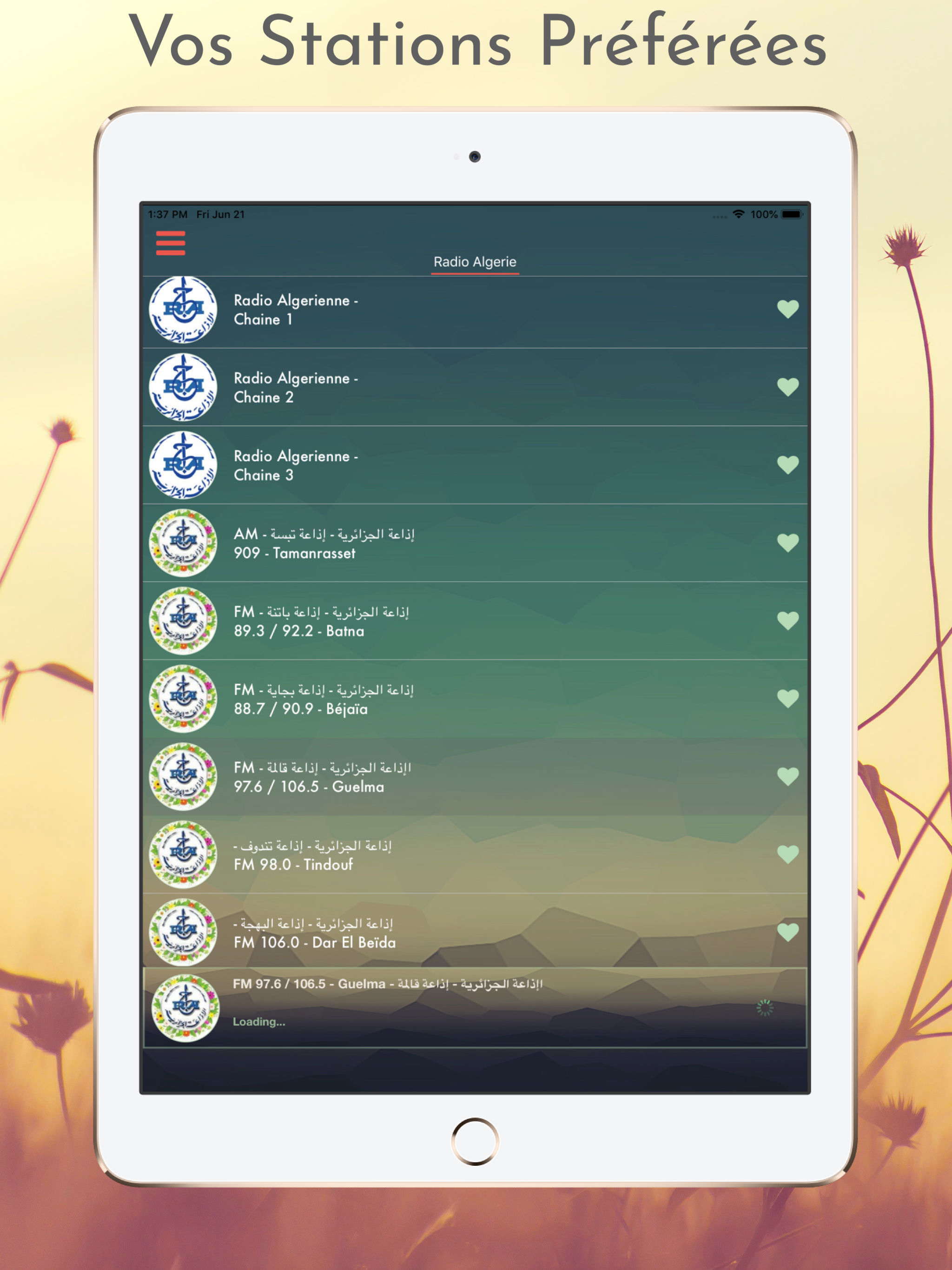 Radio Algerie screenshot 7