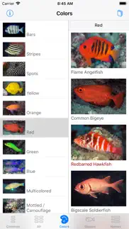 scuba fish hawaii iphone screenshot 2