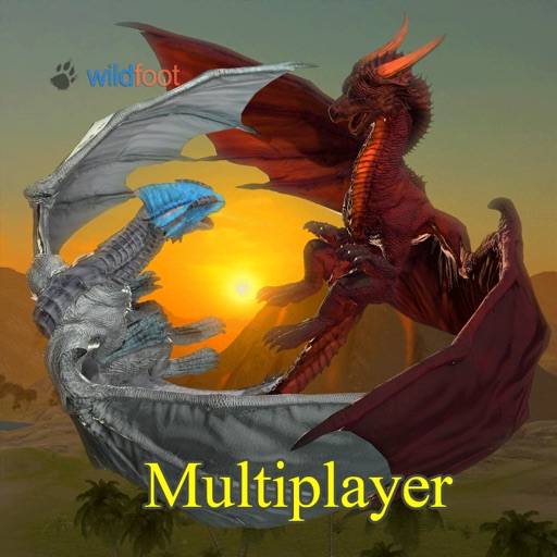 Dragon Multiplayer 3D Icon