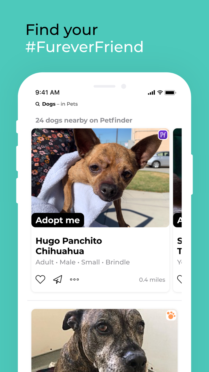 Findy – Browse, Search, Find