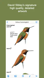 sibley guide to hummingbirds iphone screenshot 2