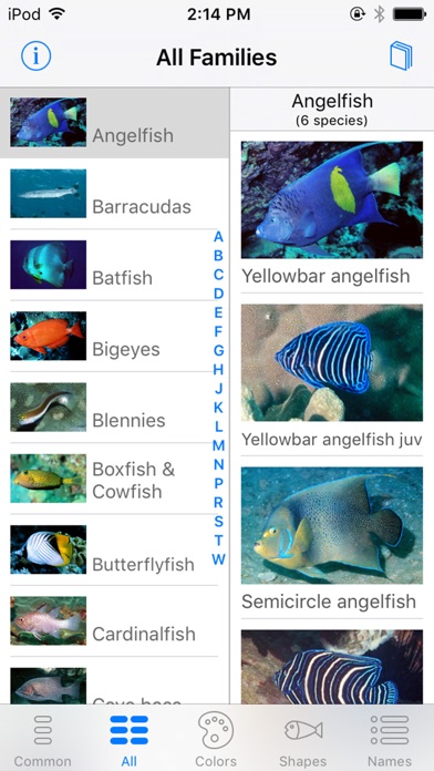 Screenshot #1 pour Oman Fish ID