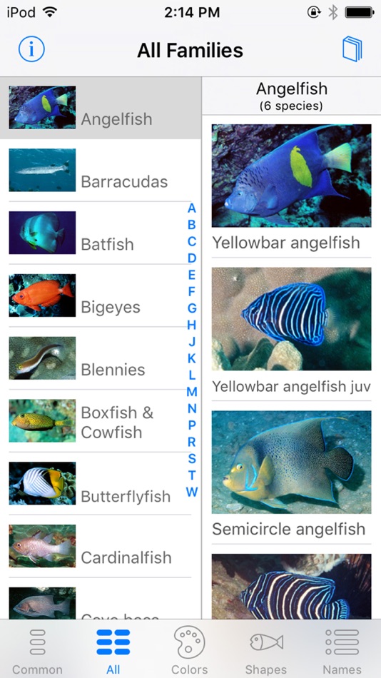 #1. Oman Fish ID (iOS) 由: John P. Hoover