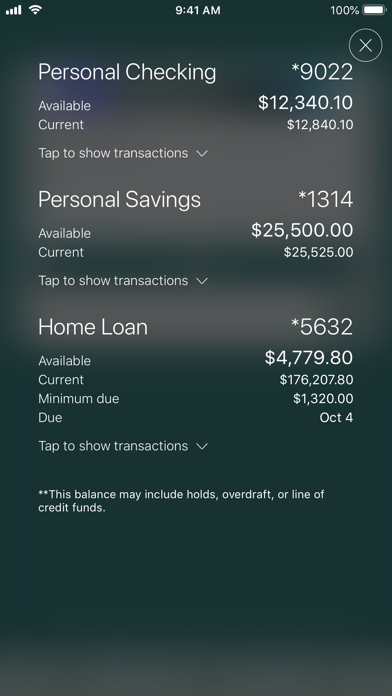 Blue Coast FCU Screenshot
