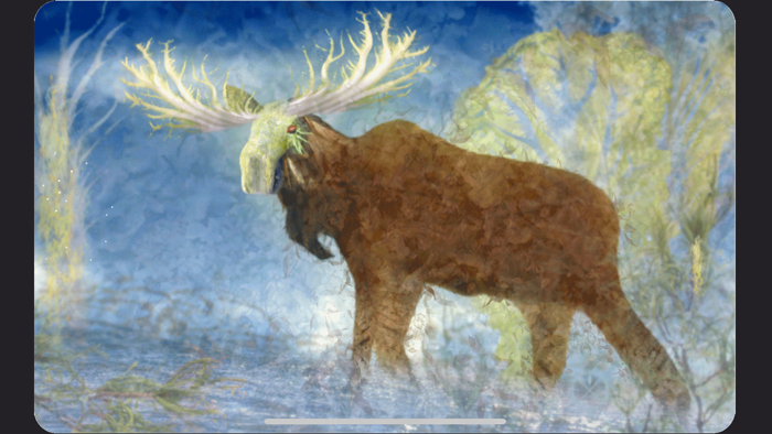 Animal Totems Empowerment Deck