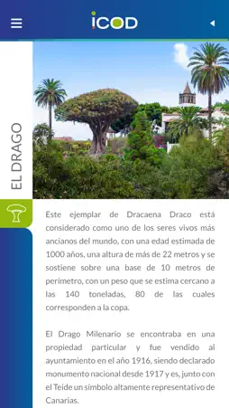 Icod screenshot 3