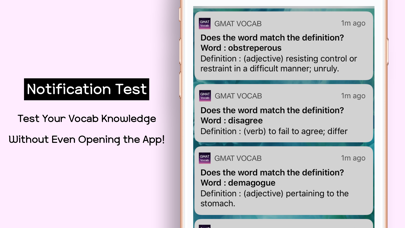 GMAT Vocabulary Words Test Screenshot