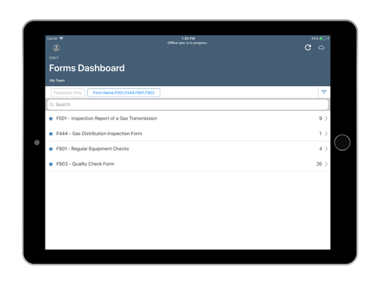 RACE Dynamic Forms iPad screenshot