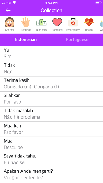 Screenshot #1 pour Indonesian Portuguese