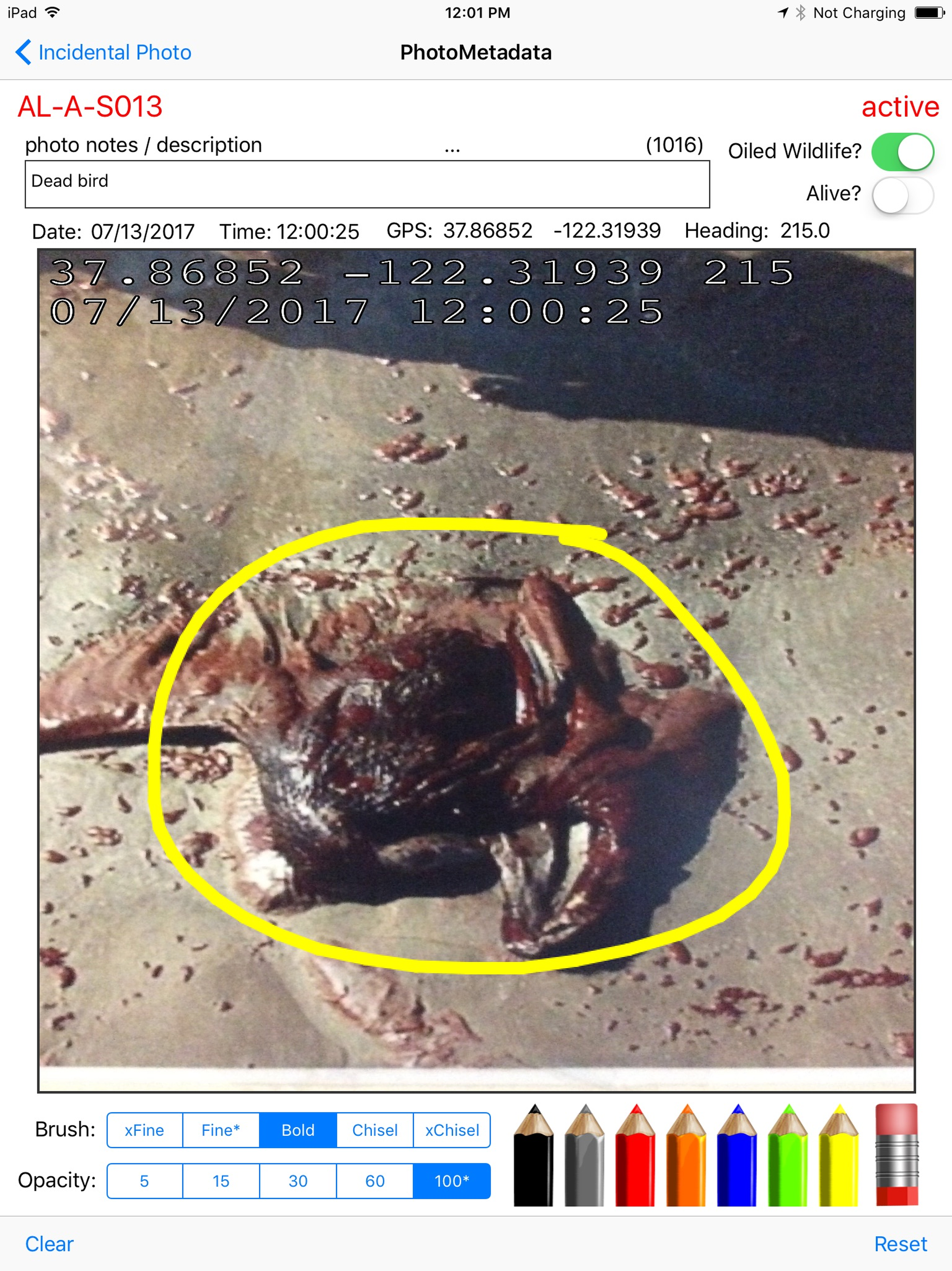 SCATalogue screenshot 4