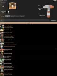 fungi kingdom ipad capturas de pantalla 1