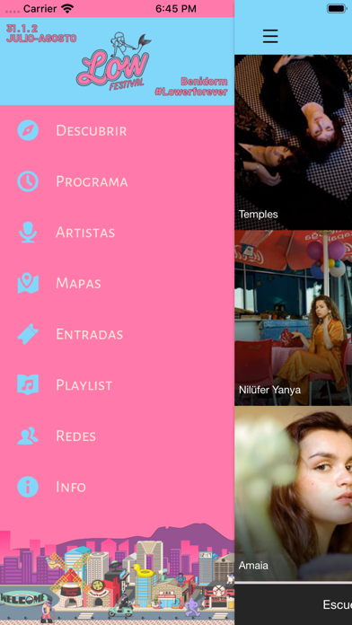 How to cancel & delete Low Festival 2020 from iphone & ipad 2