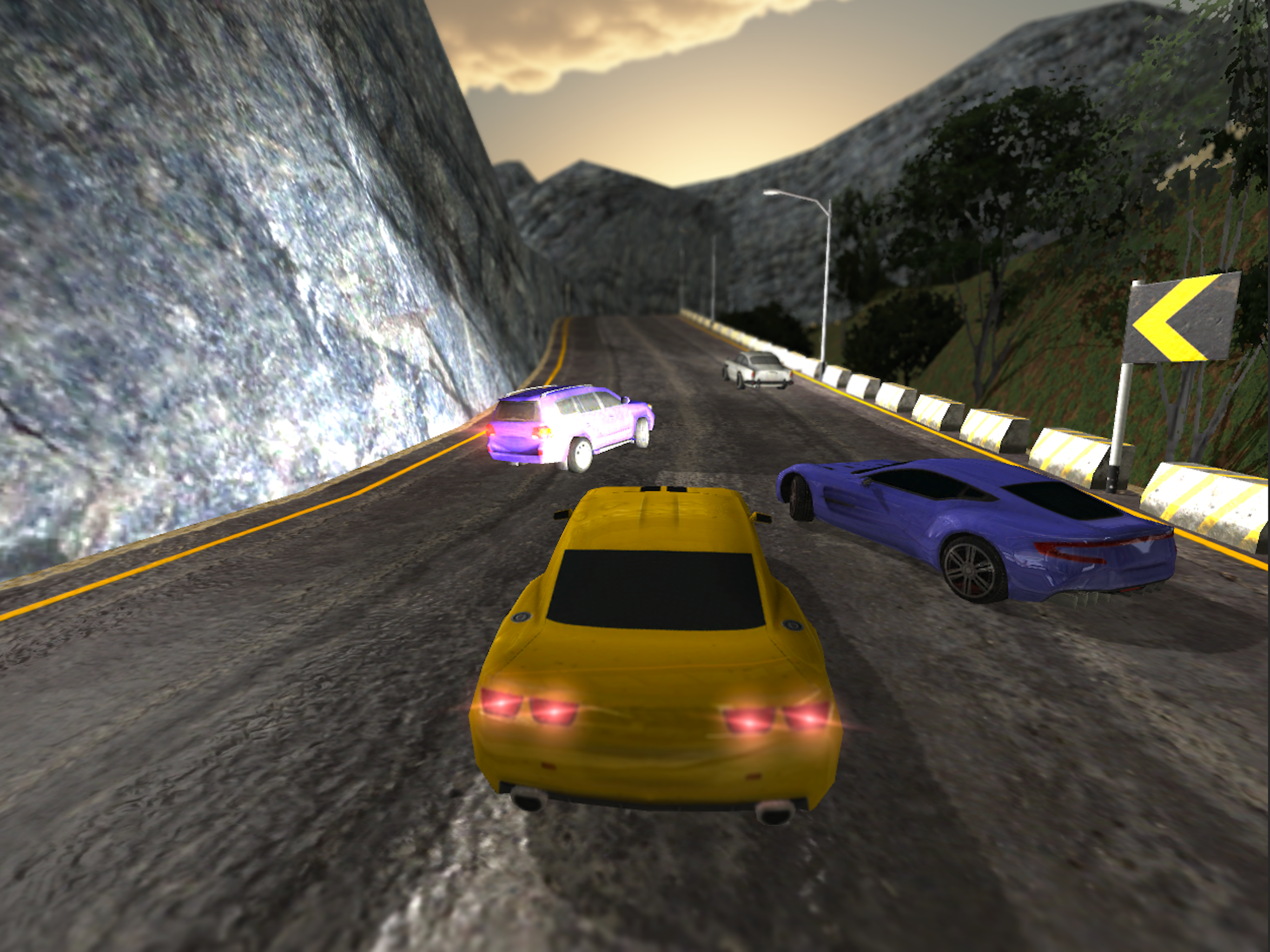Real Car Race