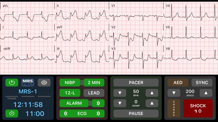 Medical Rescue Sim Pro