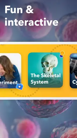 Game screenshot Human Body & Anatomy for Kids apk