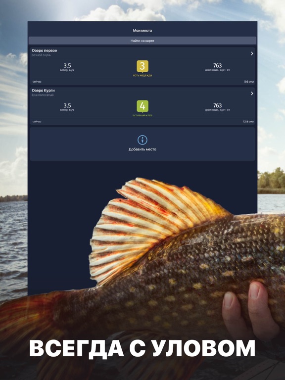 Прогноз Рыбалки iPad screenshot 1