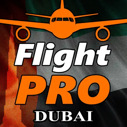 Pro Flight Simulator Dubai Читы