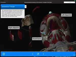 Gale Interactive Human Anatomy screenshot #2 for iPad