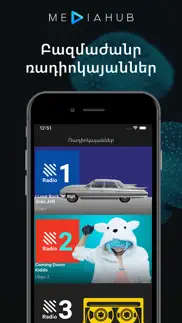 mediahub - armenian radios iphone screenshot 2