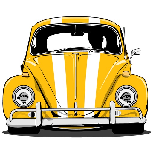 PunchBuggy