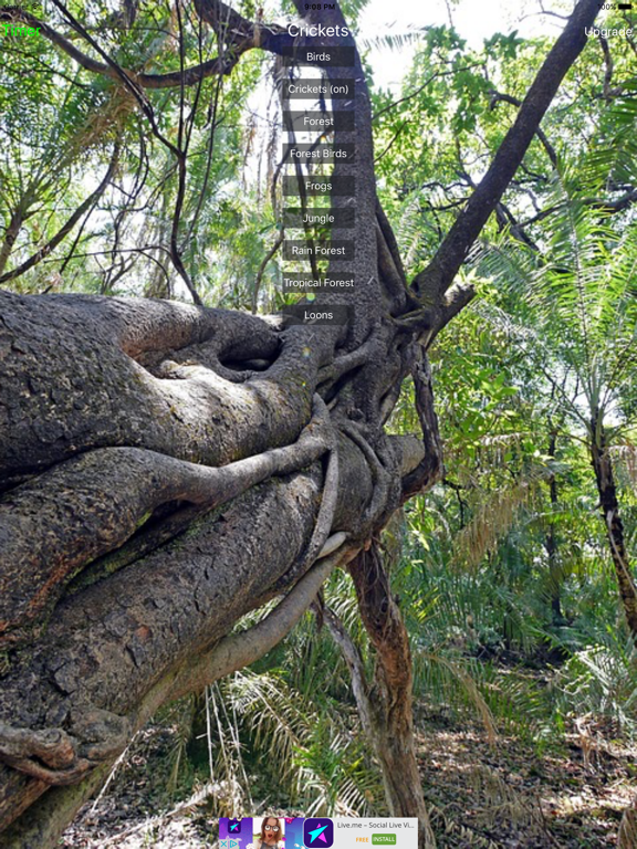 Nature Sound Central