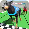 Dog Racing Championship Game problems & troubleshooting and solutions