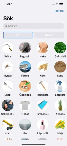 Game screenshot Tigrigna Svenska mod apk