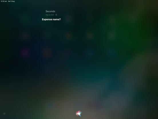 Seconds Expense iPad screenshot