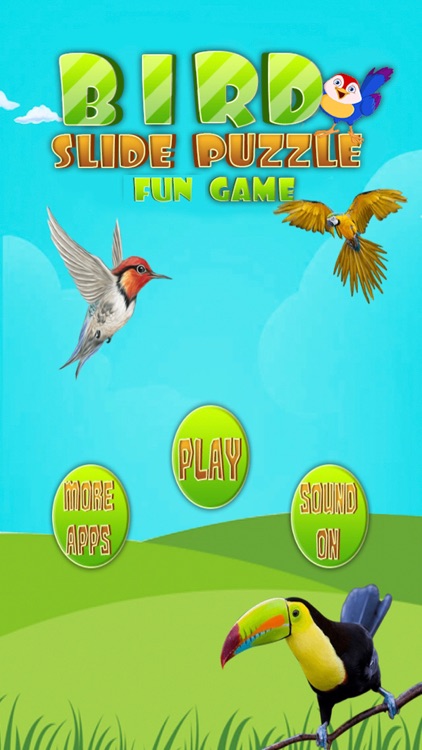 Bird Slide Puzzle Fun Game
