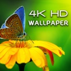 HD Wallpapers - 4K UltraHD
