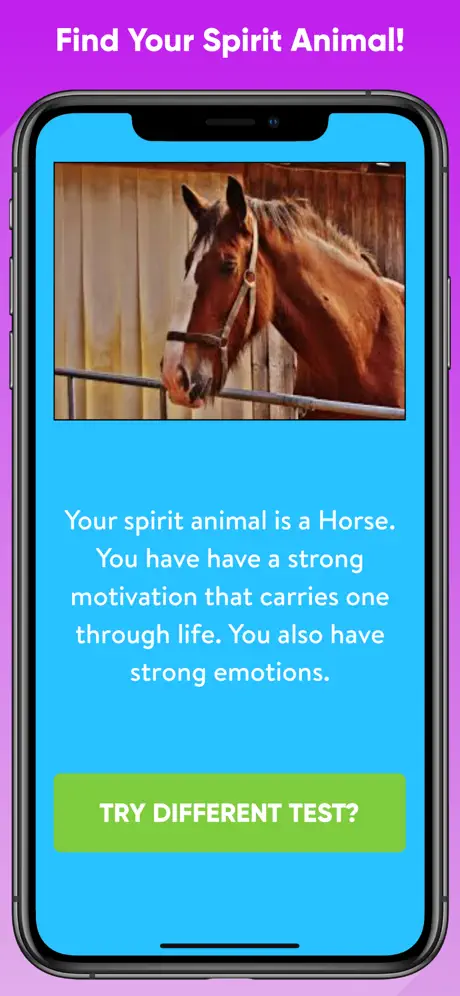 Which Animal Are You?