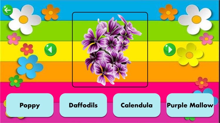 Learn Flower Name screenshot-3
