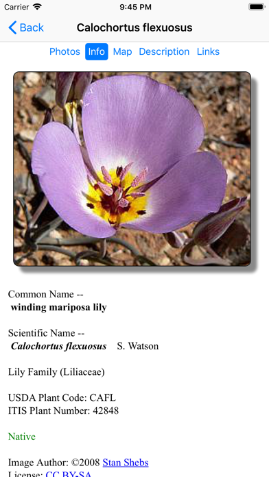Nevada Wildflowers Screenshot