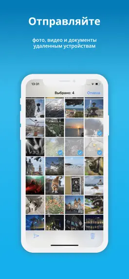 Game screenshot Catch! - Перенос фото на ПК apk