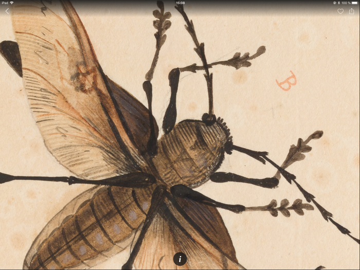 SC Museo Ciencias Naturales