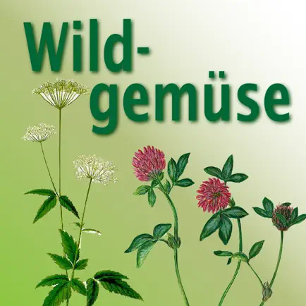 Wildpflanzen in der Küche Читы