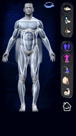 Game screenshot Health More apk