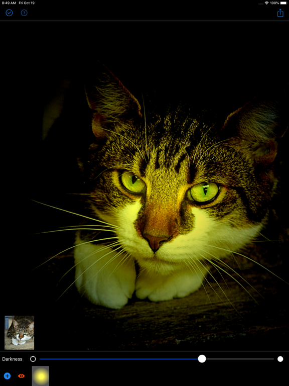 Dark Light Fx iPad screenshot 4 - Photo & Video app