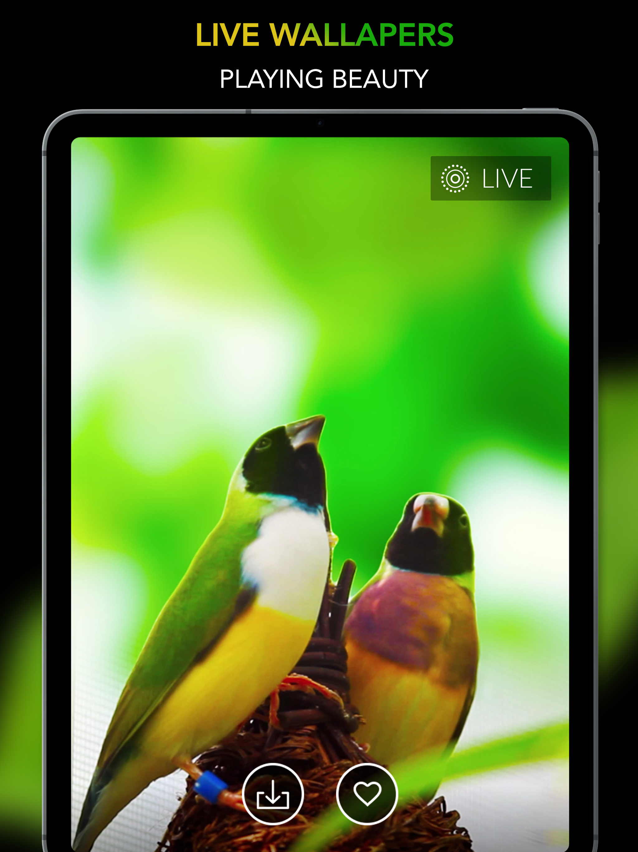 3D Themes - Live Wallpapers screenshot 13