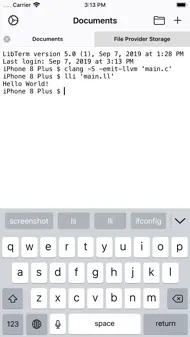 LibTerm iphone bilder 0