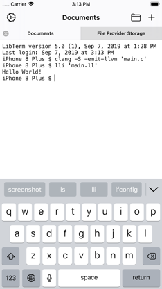 LibTerm screenshot 1