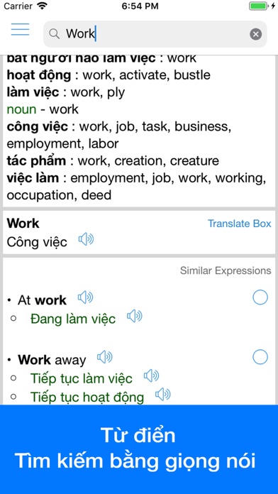 Vietnamese Translator Offline Screenshot