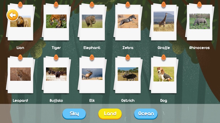 Nature - learn about animals